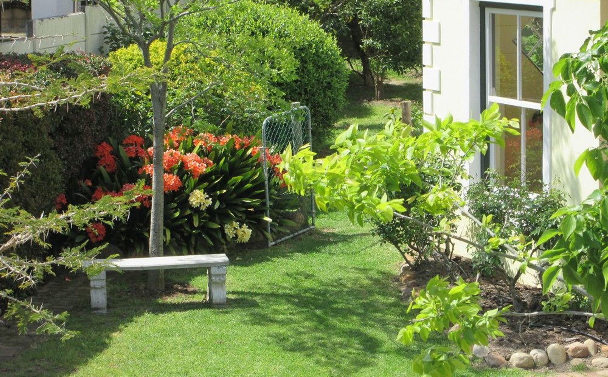 Villa-Roux Garden Cottage Franschhoek Exteriér fotografie